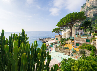 Marina Piccola, cactus, pin parasol, Ile de Capri, Baie de Naples, Italie