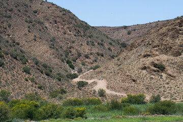 Winding farm road bisects hills near Ladismth, Western Cape.