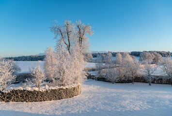 Snow covered fields and trees in the Scottish Borders, United Kingdom