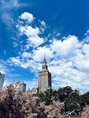 spring in warsaw with beautiful blue sky - obrazy, fototapety, plakaty