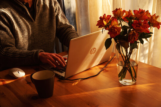 Paris, France - February 9, 2022: Man working from home at simple workplace with HP laptop computer in sunset light. Remote working from home in comfortable working environment.