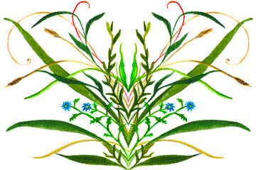 Watercolor transparent abstract illustration of the wildflowers, decorative element