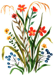 Watercolor transparent illustration of the wildflowers, decorative element