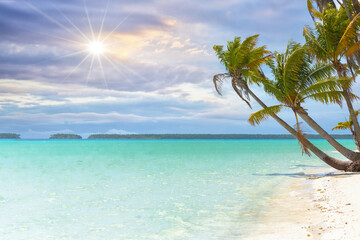 Fototapeta na wymiar Bora Bora, paradise island beach in French Polynesia