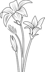sketch of bellflower coloring pages.