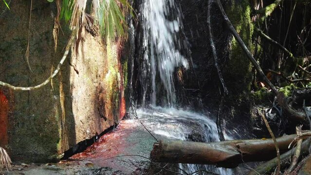 Small Waterspring Falls Through Plants and Rocks by the Pristine Nus River