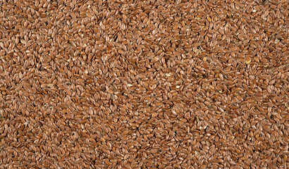 Flax seeds glistening in the morning light.