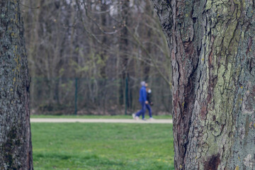 Fototapeta premium woman walking in the park