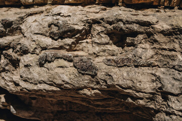 flint inside of limestone rocks in the bottom of Jacob's Canyon