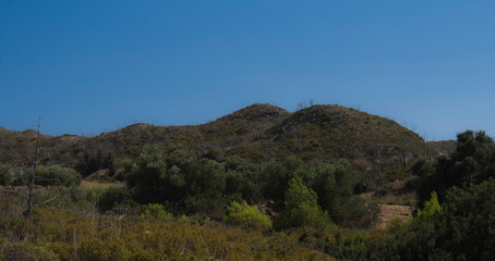 Obraz premium Landscape with small hills