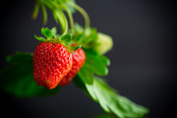 Ripe juicy red strawberry on black background