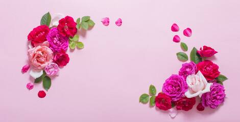 beautiful roses on pink paper background