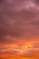 Trend color background