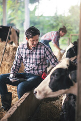 Asian young smart man farmer in dairy farm working in cowshed, New generation agricultural farmer working in smart farm, Livestock and farm industry lifestyle. © DJ Creative Studio