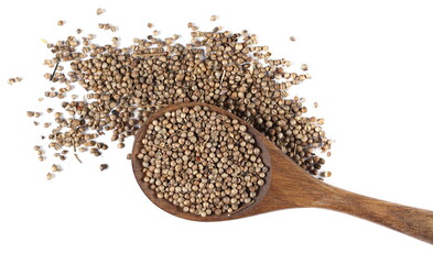 Coriander seeds in wooden spoon isolated on white background, top view