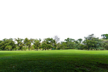 Green park, Transparent - 569285524