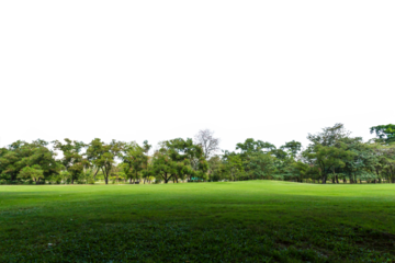 Green park, Transparent