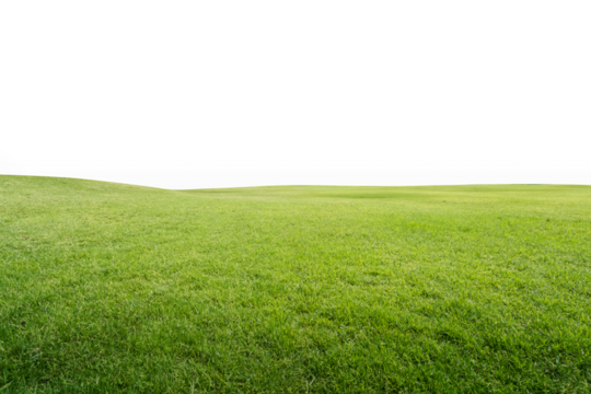 Green park, Transparent - Powered by Adobe