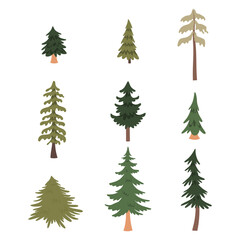 Forest pine trees set. Vector illustration
