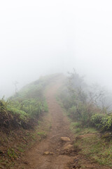 Thick fog obscuring a trail on a mountain ridge in Maui, Hawaii.