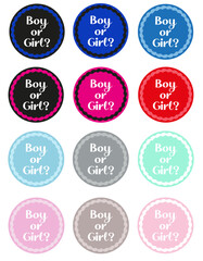 Fototapeta na wymiar Gender party tag stickers. Boy or girl.