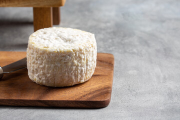 Crottin traditional French goat cheese on wooden board