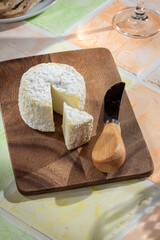 Crottin traditional French goat cheese on wooden board