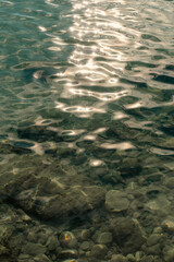 sun reflection in the water