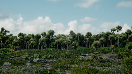 Paamul - Tulum
