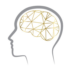 Golden lines inside human brain