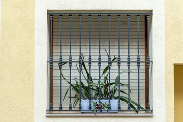 Window with a grille and a plant in a typical mediterranean village