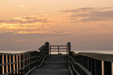 Obraz premium Steg am Meer mit Möwen