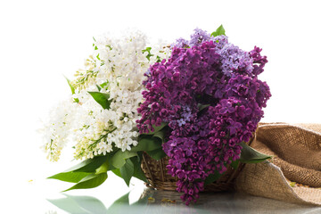 Bouquet of beautiful spring lilacs of different colors