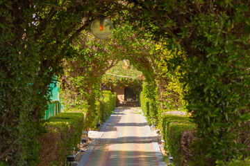 Closeup to the garden green gates from the trees 