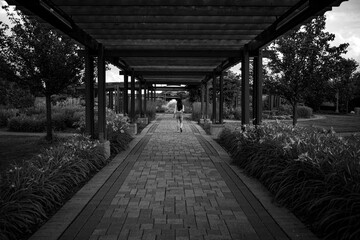 A girl walking under a ceiling in between flowers