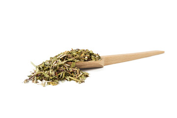 Catnip herb in latin - Nepeta cataria on wooden spoon isolated on white background. Medicinal herb.