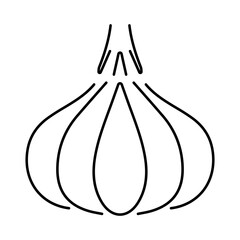 garlic icon isolated on white background, vector illustration.