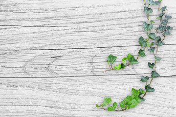 木目背景とグリーン