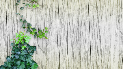 木目背景とグリーン