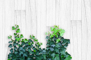 木目背景とグリーン