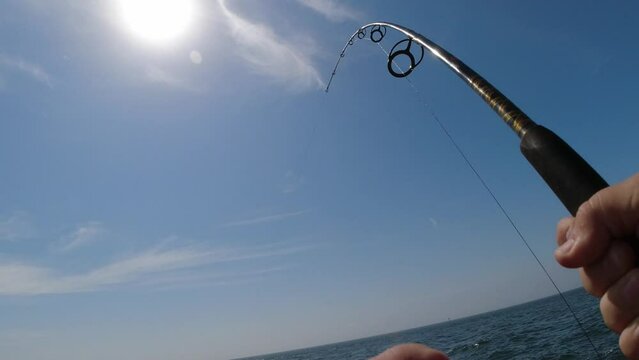First person view of man's hands reeling in a heavy fish on a spinning reel