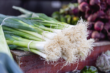 Spring onions on Farmers market at &Ouml;lands Sk&ouml;rdefest