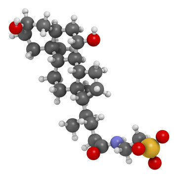 Tauroursodeoxycholic acid (TUDCA) molecule. Conjugate of taurine and ursodeoxycholic acid. 3D rendering.