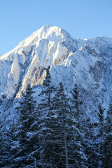 Fototapeta na wymiar Tonale ski resort with Rhaetian Alps