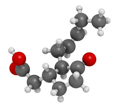 Jasmonic acid (jasmonate, JA) plant hormone molecule. 3D rendering.