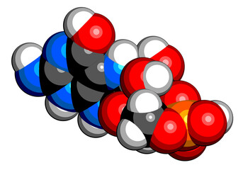 Fosdenopterin drug molecule. 3D rendering.