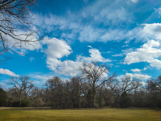 Obraz premium Scattered clouds in a deep blue sky over a suburban park