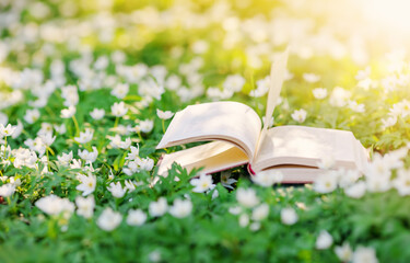 Open book lying on the blossoming field in natural park.