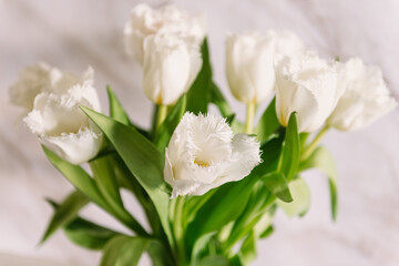 Obraz na płótnie Canvas Fresh spring tulips bouquet on mother's day, white beautiful color