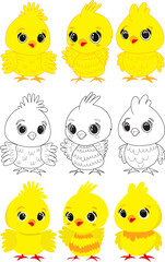 set of cute cartoon chick on white background, vector